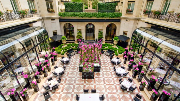 restaurant L'Orangerie - Four Seasons Hôtel George V